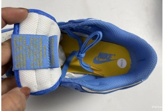 Nike Dunk DD1503-100 Low Coast (W) 1216